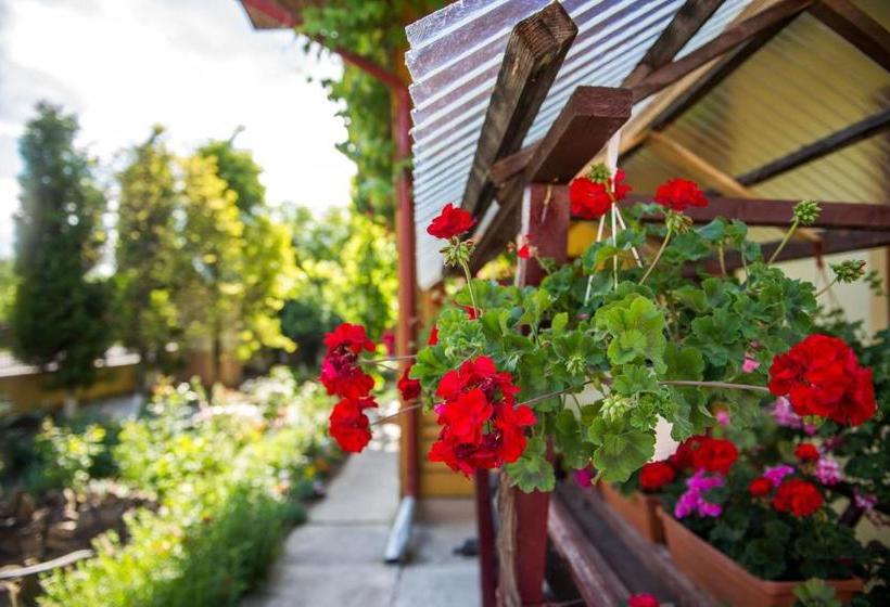 پانسیون Casa Andreea