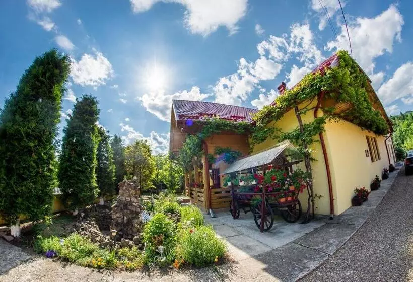 پانسیون Casa Andreea