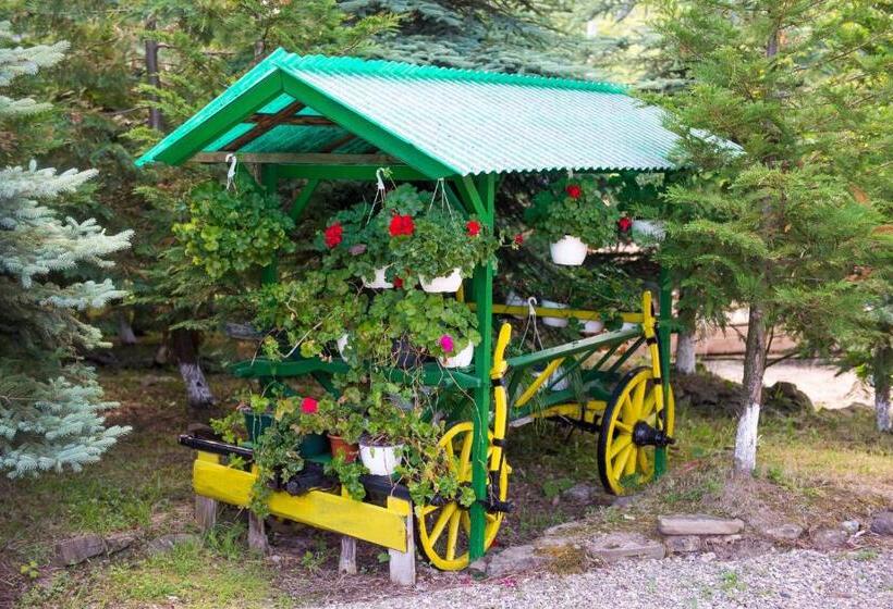 پانسیون Casa Andreea