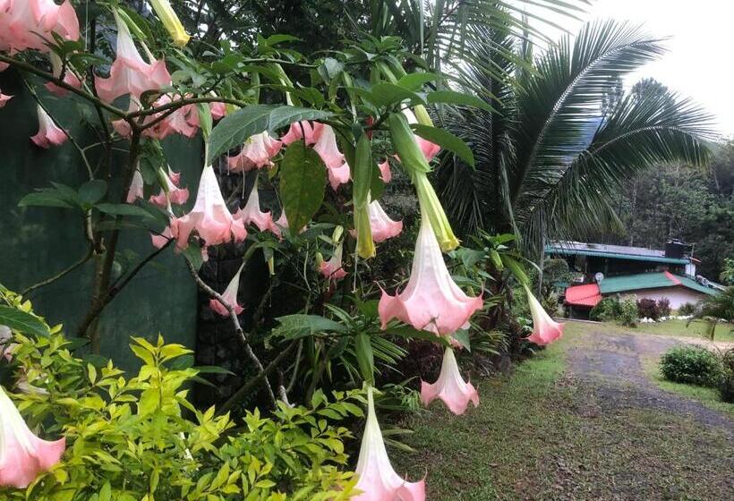 بنسيون Hamadhi Guest