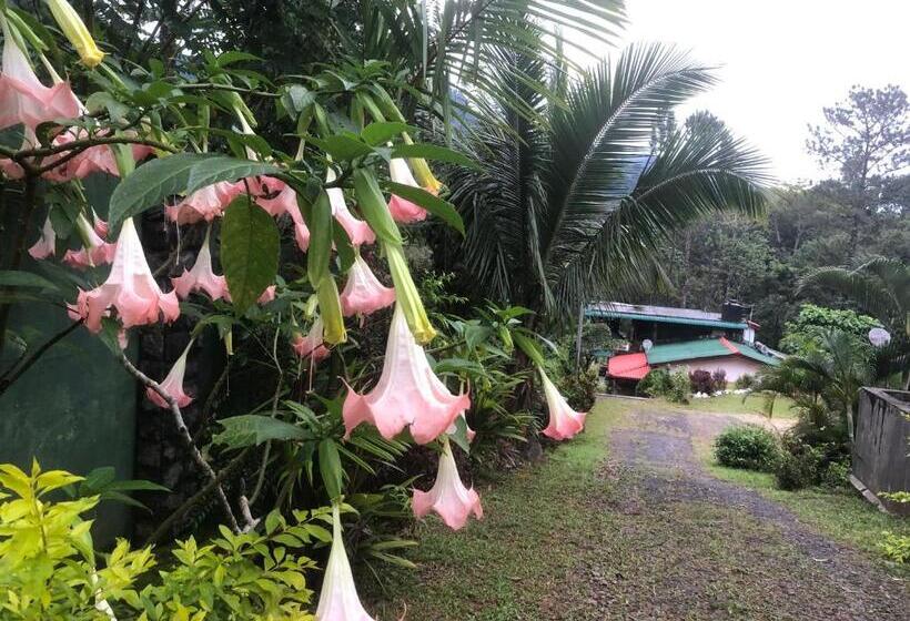 بنسيون Hamadhi Guest