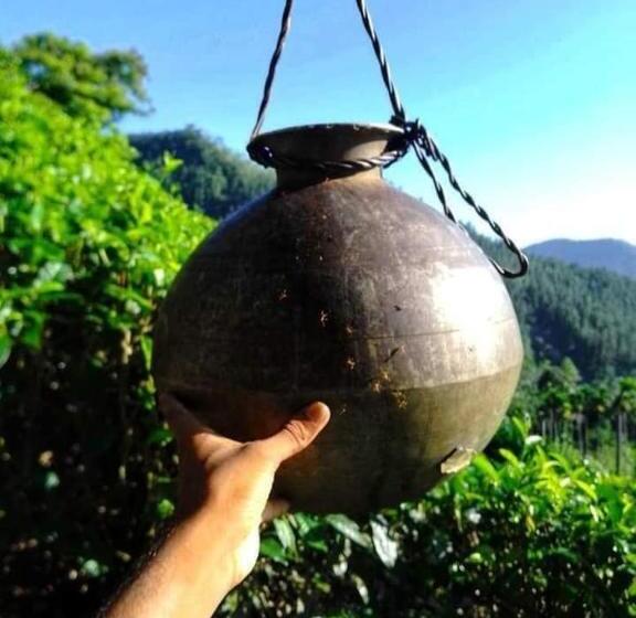 بنسيون Hamadhi Guest