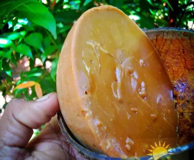 ペンション Hamadhi Guest