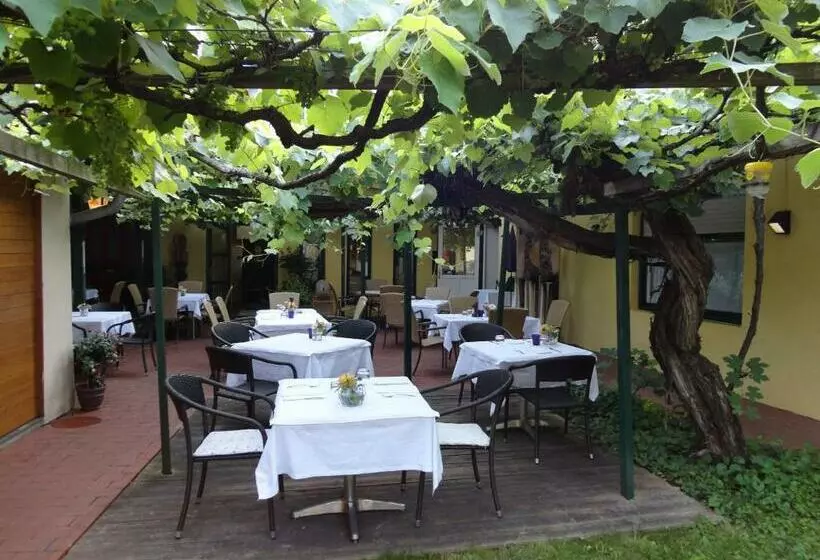 Majatalo Landgasthof Zum Alten Weinstock