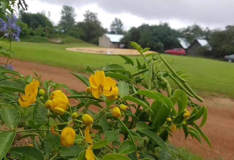 Pension Mulberry Lane