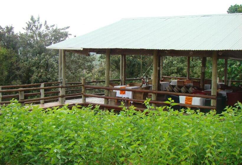 Pension Mulberry Lane