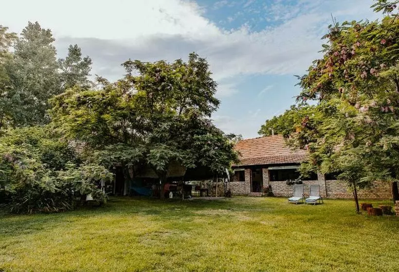 Majatalo Nyugalom Az Erdő Közepén Ruzsa