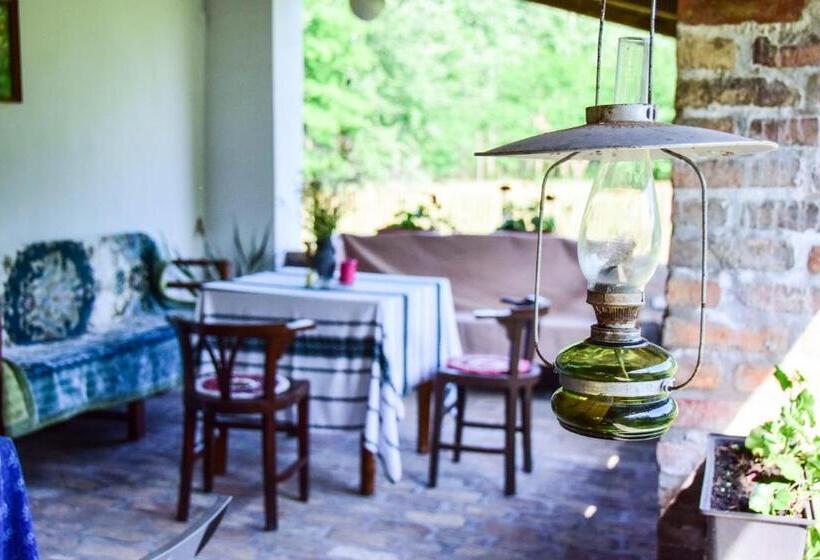 بنسيون Nyugalom Az Erdő Közepén Ruzsa