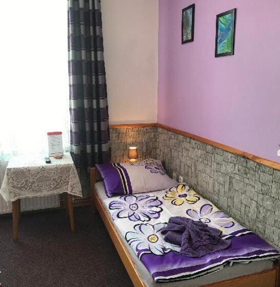 بنسيون Penzion Rajf