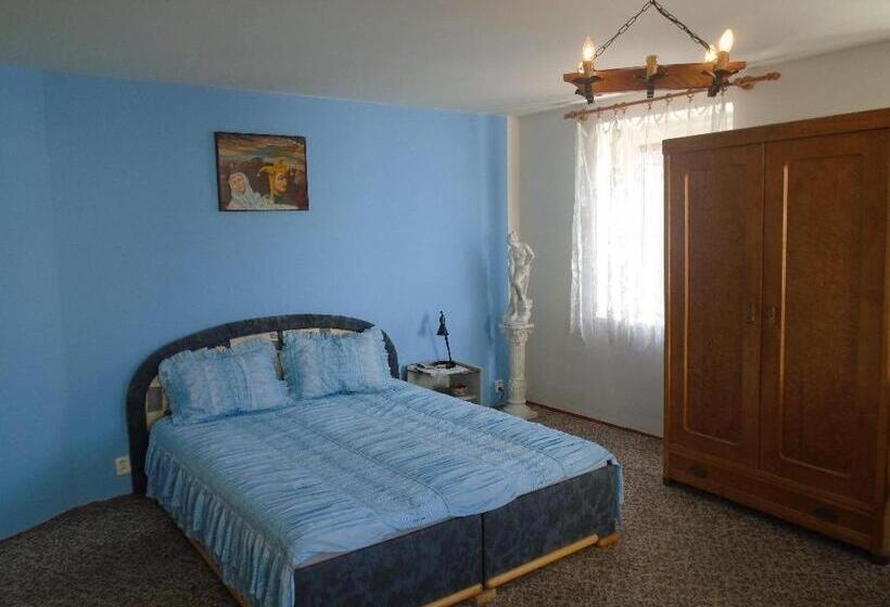 بنسيون Penzion Rajf