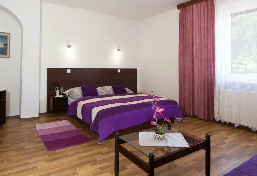 ペンション Penzion U Králíků