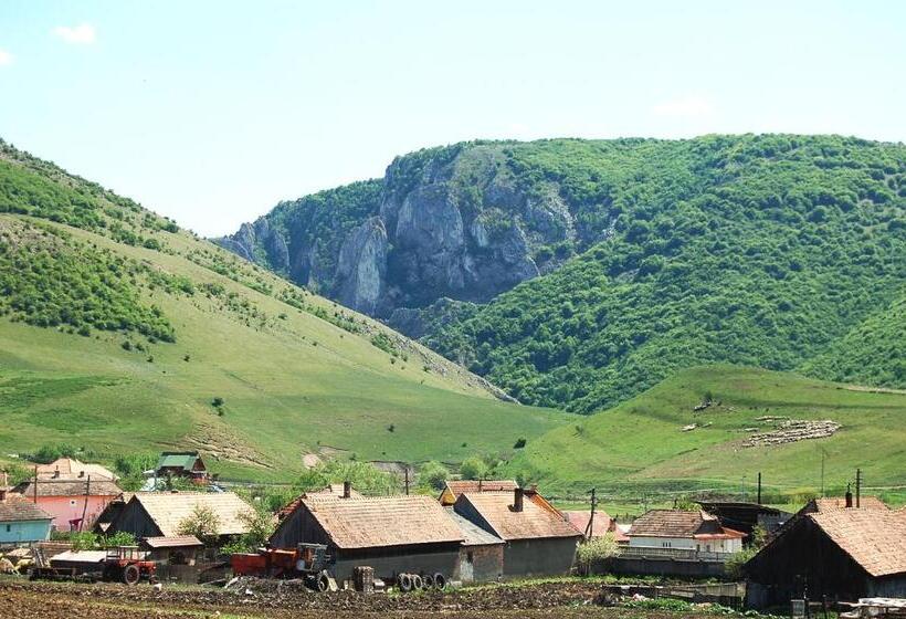 Pension Laura Cheile Turzii