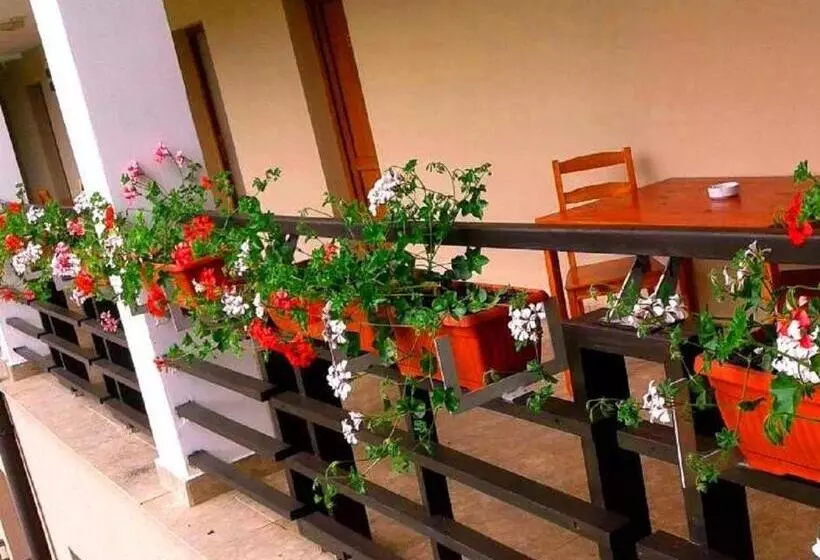 Pension Laura Cheile Turzii