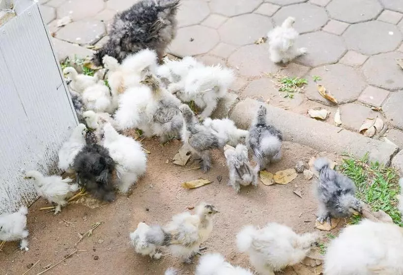 Supalai Pasak Resort Hotel And Spa