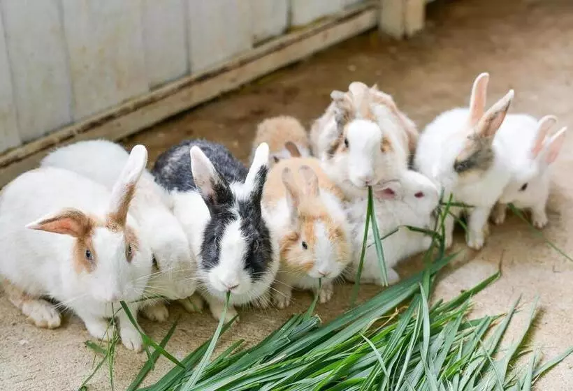 Supalai Pasak Resort Hotel And Spa