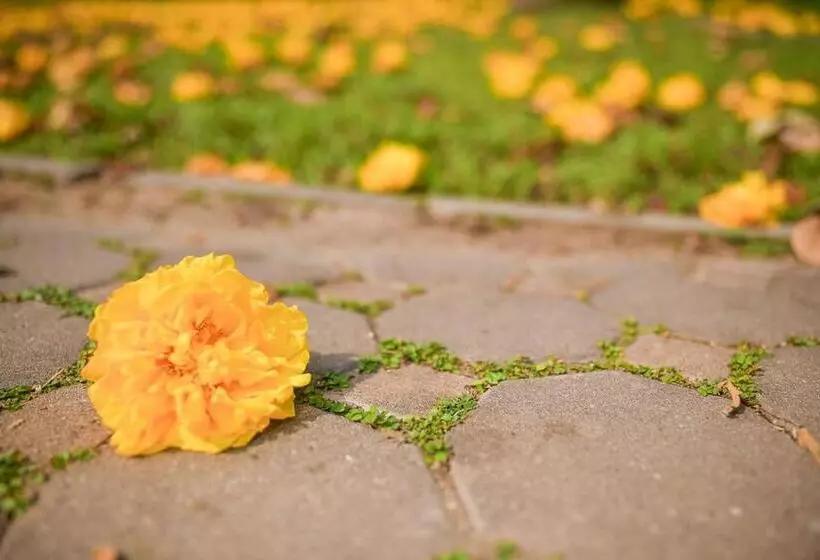 Supalai Pasak Resort Hotel And Spa