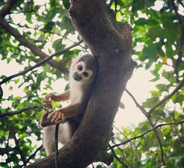 Retkeilymaja Hosteria El Paraiso De Las Orquideas