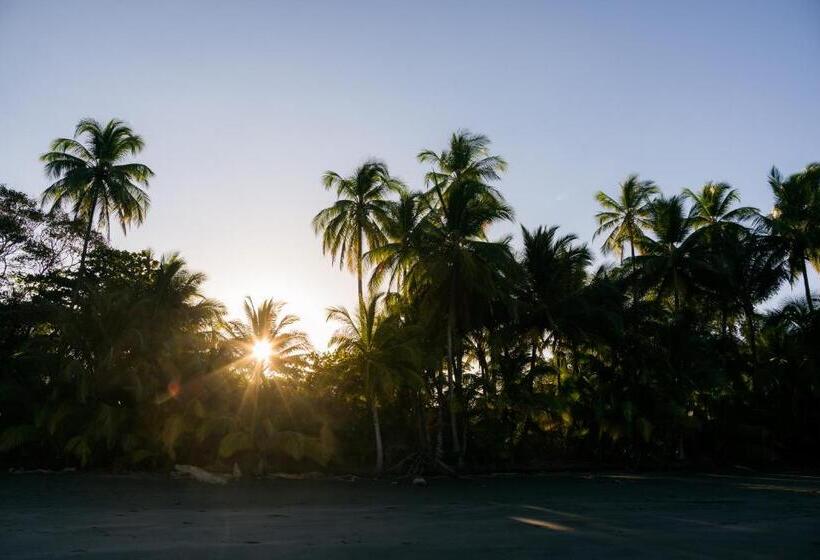 فندق صغير Punta Duarte Garden Inn