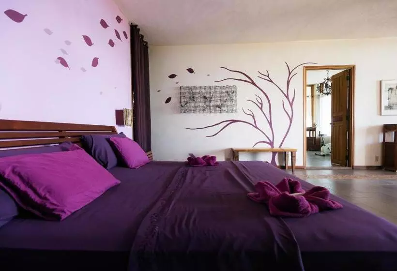 Retkeilymaja Punta Duarte Garden Inn