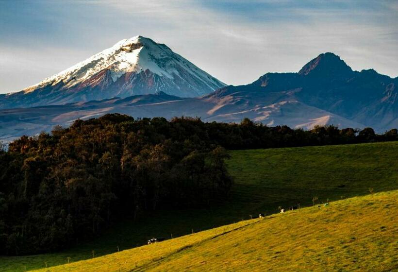 ユースホステル Sierra Alisos Hotel De Campo