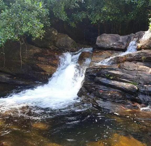 Aamiaismajoitus (B&B) Daddy's Guest Home