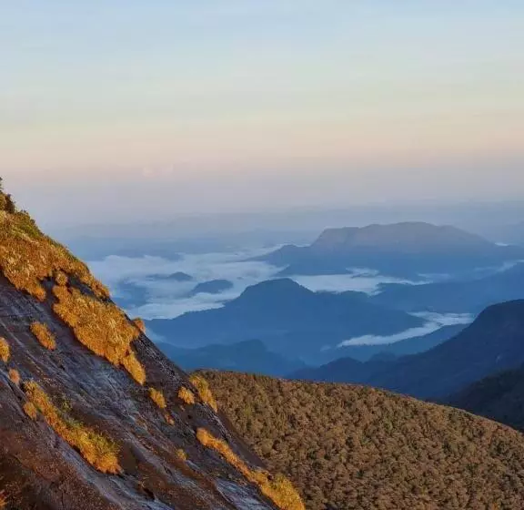 Aamiaismajoitus (B&B) Daddy's Guest Home