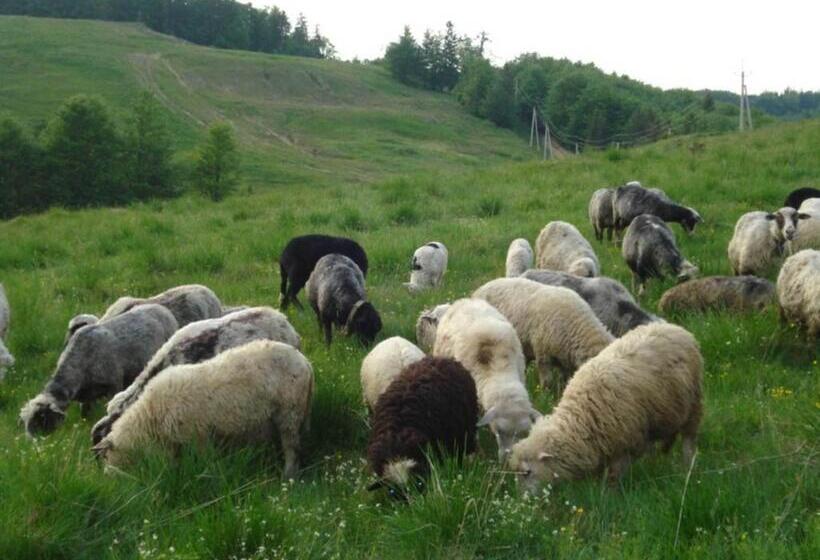 ホテル готель добрій