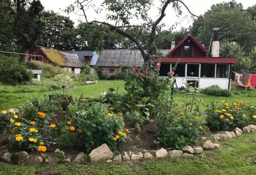 ホテル Farm Stay Happy Dogs Ranch