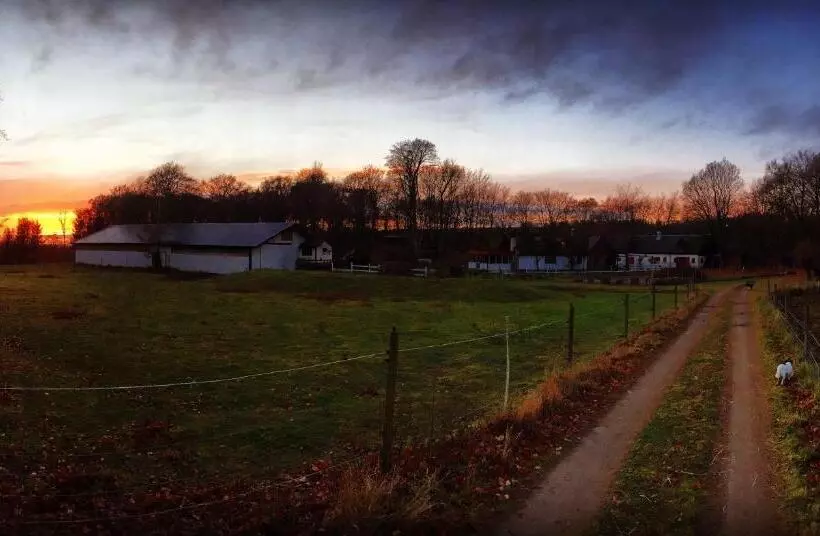 ホテル Farm Stay Happy Dogs Ranch