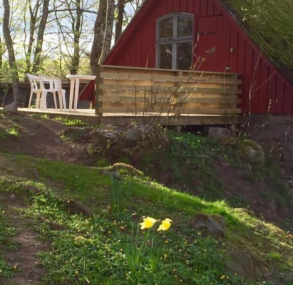 فندق Farm Stay Happy Dogs Ranch