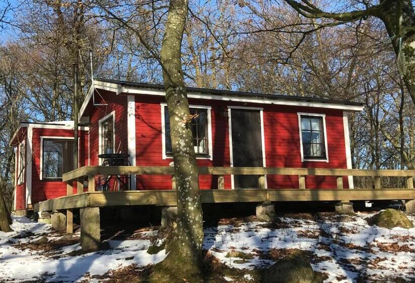 فندق Farm Stay Happy Dogs Ranch