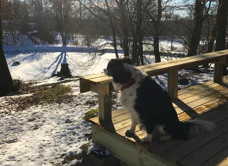 فندق Farm Stay Happy Dogs Ranch