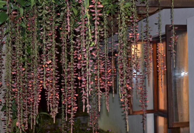 בית מלון כפרי O Land Plantation