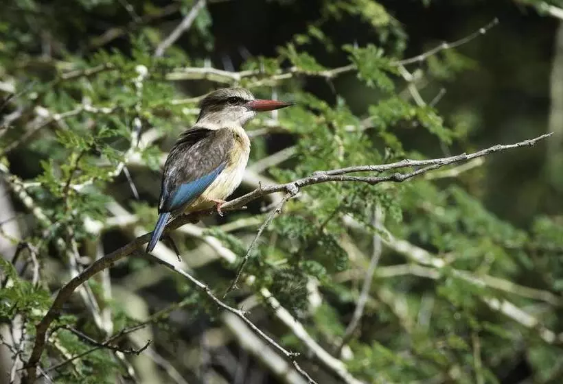 ホテル The Outpost & Pel S Post