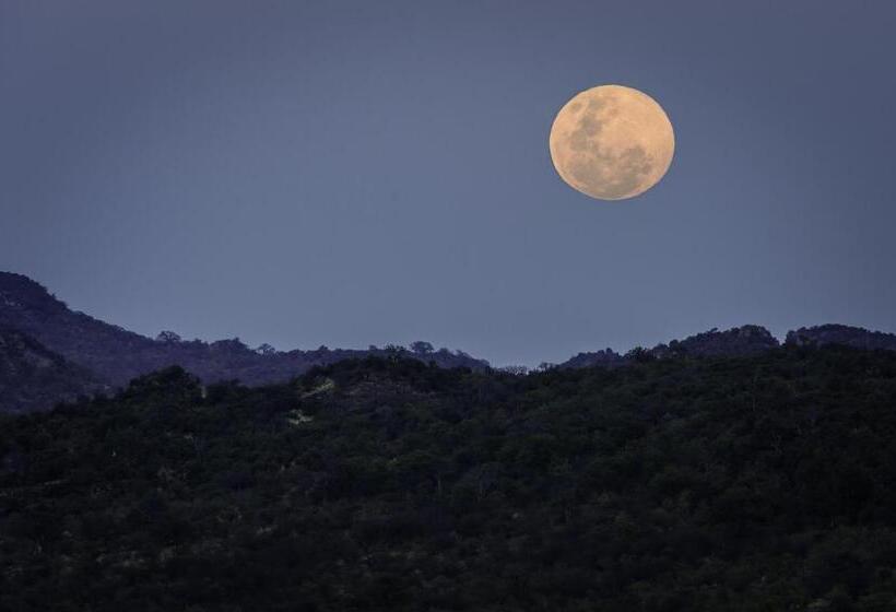 Hotel The Outpost & Pel S Post