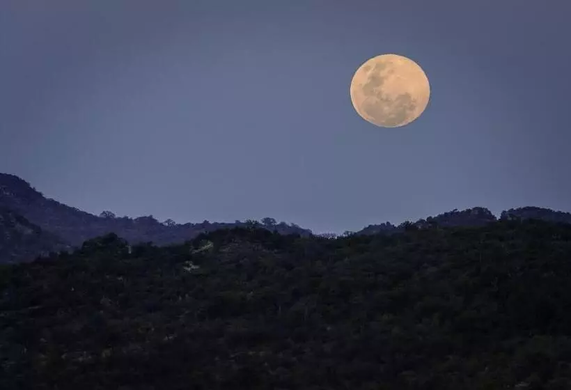 ホテル The Outpost & Pel S Post