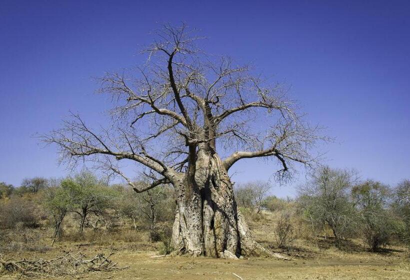 Hotel The Outpost & Pel S Post