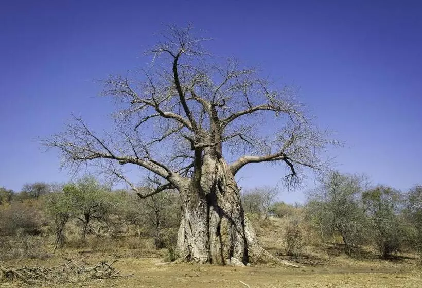 ホテル The Outpost & Pel S Post