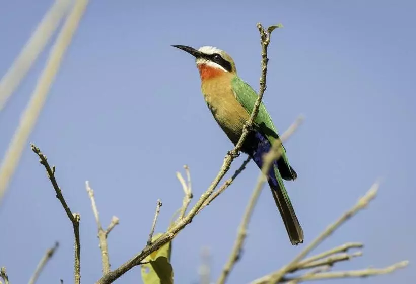 ホテル The Outpost & Pel S Post