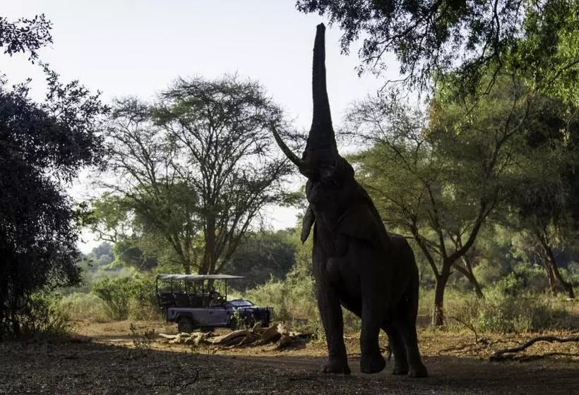 ホテル The Outpost & Pel S Post