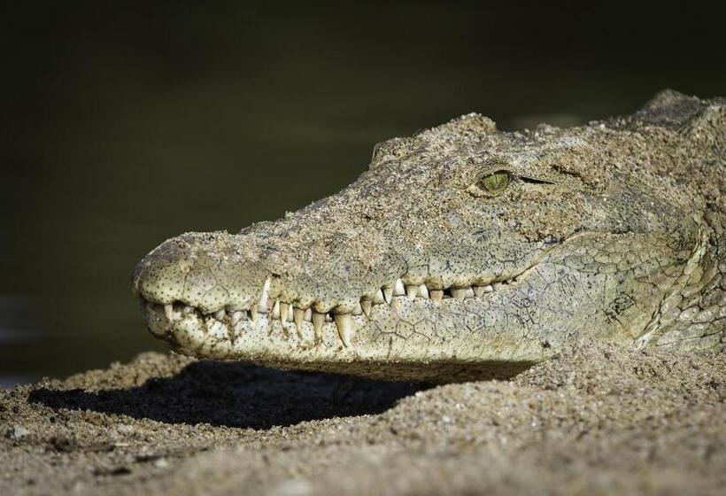 Hotel The Outpost & Pel S Post