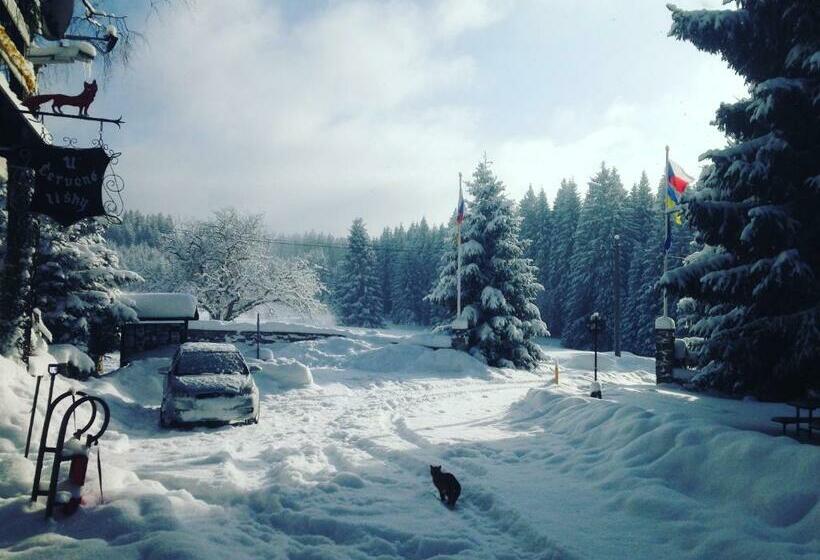 فندق U Červené Lišky
