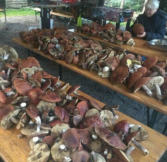 فندق U Červené Lišky