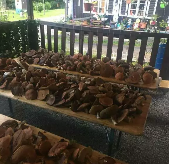 Hotelli U Červené Lišky