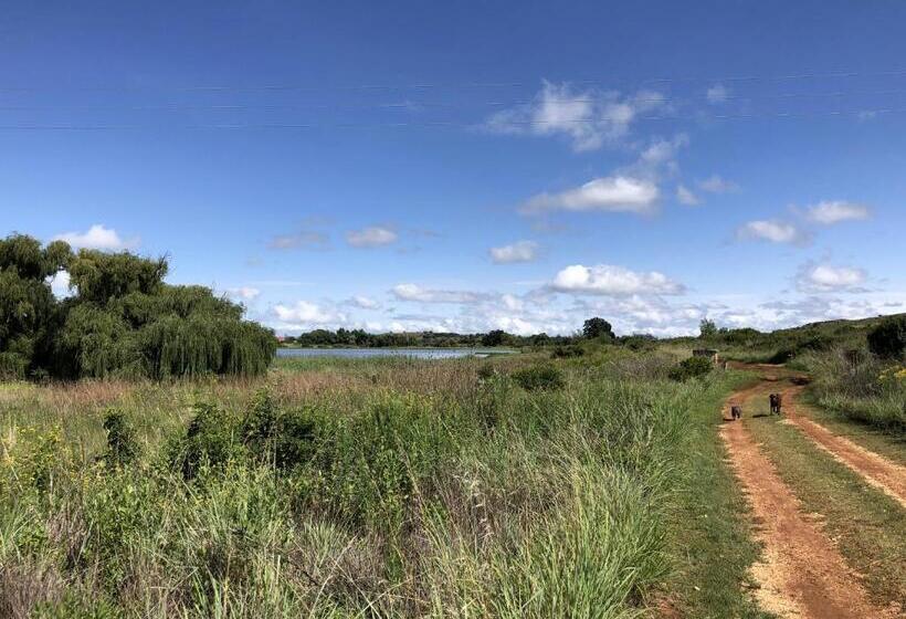 בית מלון כפרי Woolly Bugger Farm