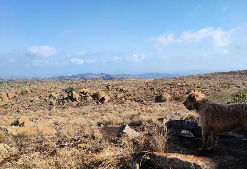 בית מלון כפרי Woolly Bugger Farm