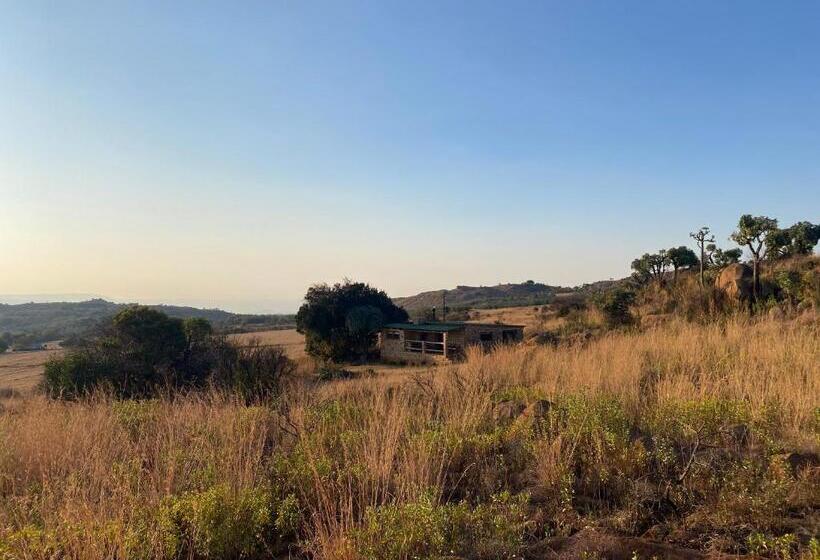 בית מלון כפרי Woolly Bugger Farm