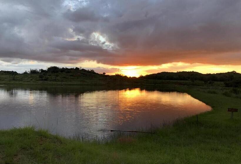 בית מלון כפרי Woolly Bugger Farm