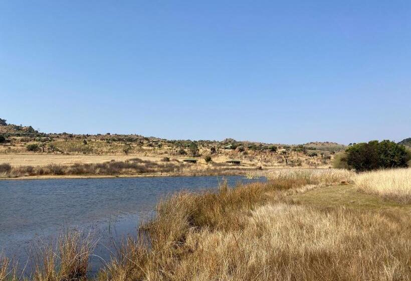 בית מלון כפרי Woolly Bugger Farm