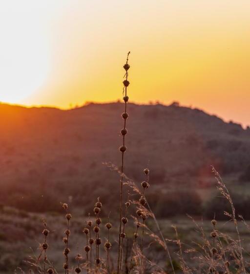בית מלון כפרי Woolly Bugger Farm
